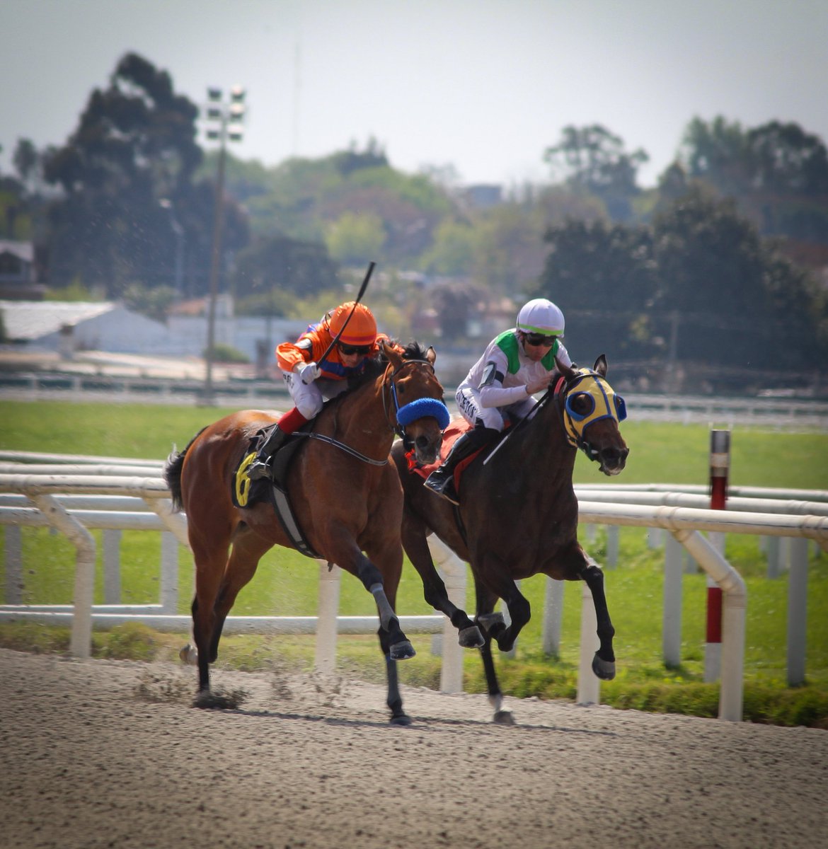 #LindaMuchacha 

Abriendo el fuego de la jornada maroñense , la defensora del #StudGuaraDelSur se quedó con el Cl “Sarandi” sobre 1800M, tras vencer a #Garufera por la Cza de ventaja.

Segunda victoria (primera clásica) para la descendiente de #Alcorano ,gran faena de J.Da Silva!