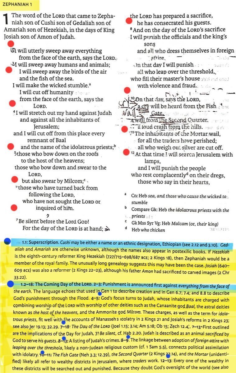 TeXasMadde's tweet image. #ApocalypticBookStudy #62 
#BibleStudy #106 

⚠️ Specialist Study on Prophecy that came True which had a 1 in 33 Million chance to be fulfilled in Biblical texts &amp;amp; its History in this Deluxe ANE Background class ⚠️
          ---FEATURING---

📜 Zephaniah 1:1-18 - 2:1-15 - 3:1-20…
