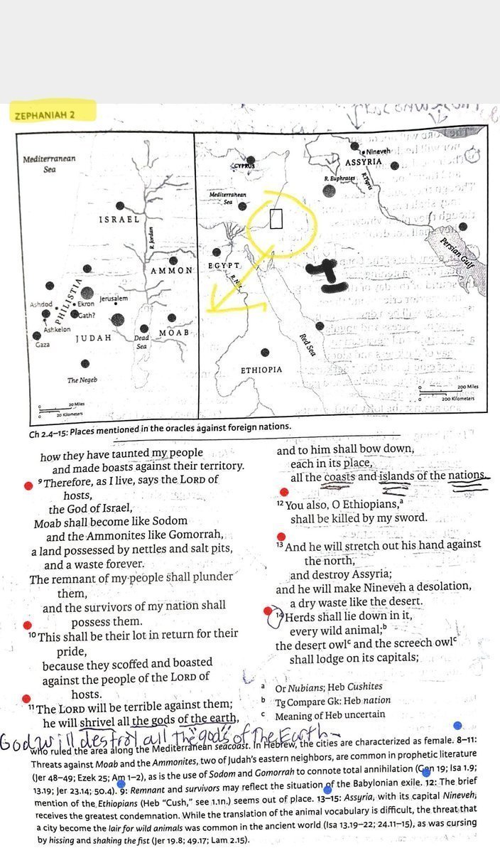 TeXasMadde's tweet image. #ApocalypticBookStudy #62 
#BibleStudy #106 

⚠️ Specialist Study on Prophecy that came True which had a 1 in 33 Million chance to be fulfilled in Biblical texts &amp;amp; its History in this Deluxe ANE Background class ⚠️
          ---FEATURING---

📜 Zephaniah 1:1-18 - 2:1-15 - 3:1-20…