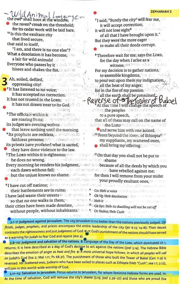 TeXasMadde's tweet image. #ApocalypticBookStudy #62 
#BibleStudy #106 

⚠️ Specialist Study on Prophecy that came True which had a 1 in 33 Million chance to be fulfilled in Biblical texts &amp;amp; its History in this Deluxe ANE Background class ⚠️
          ---FEATURING---

📜 Zephaniah 1:1-18 - 2:1-15 - 3:1-20…