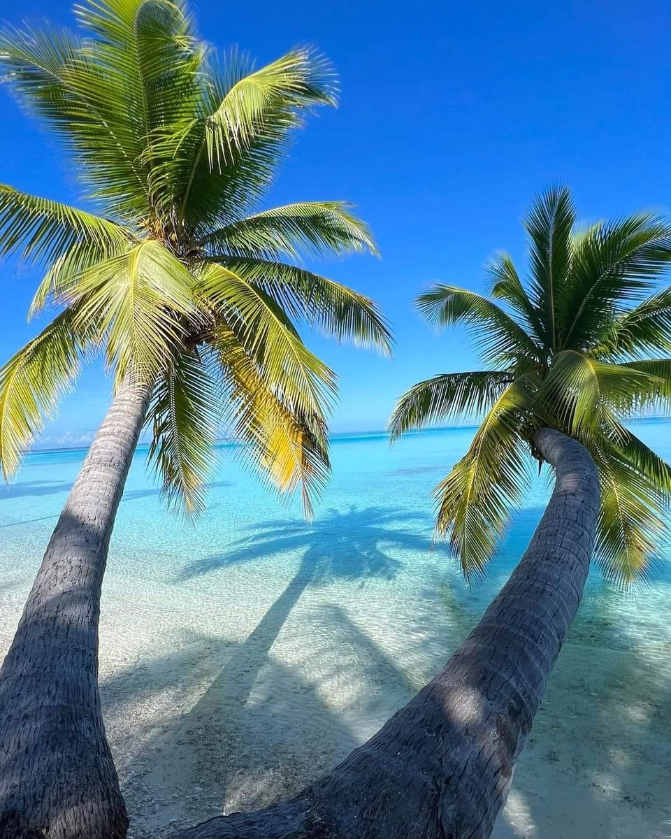 Bora Bora  a slice of heaven on earth