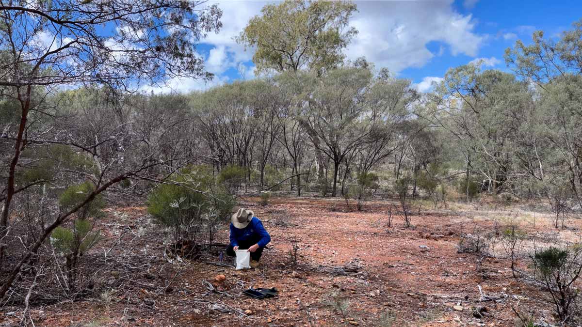 👉 $ATT continues to grow its pipeline of targets

Targeting
 has now been completed at the Byrock Project - including refining shallow “pipe-like” geophysical features that are analogous to nearby Northparkes and Cadia #Copper #Gold deposits.

More:
altitudeminerals.com/investor-updat…