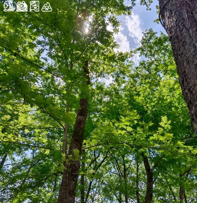 The world is yours to explore.