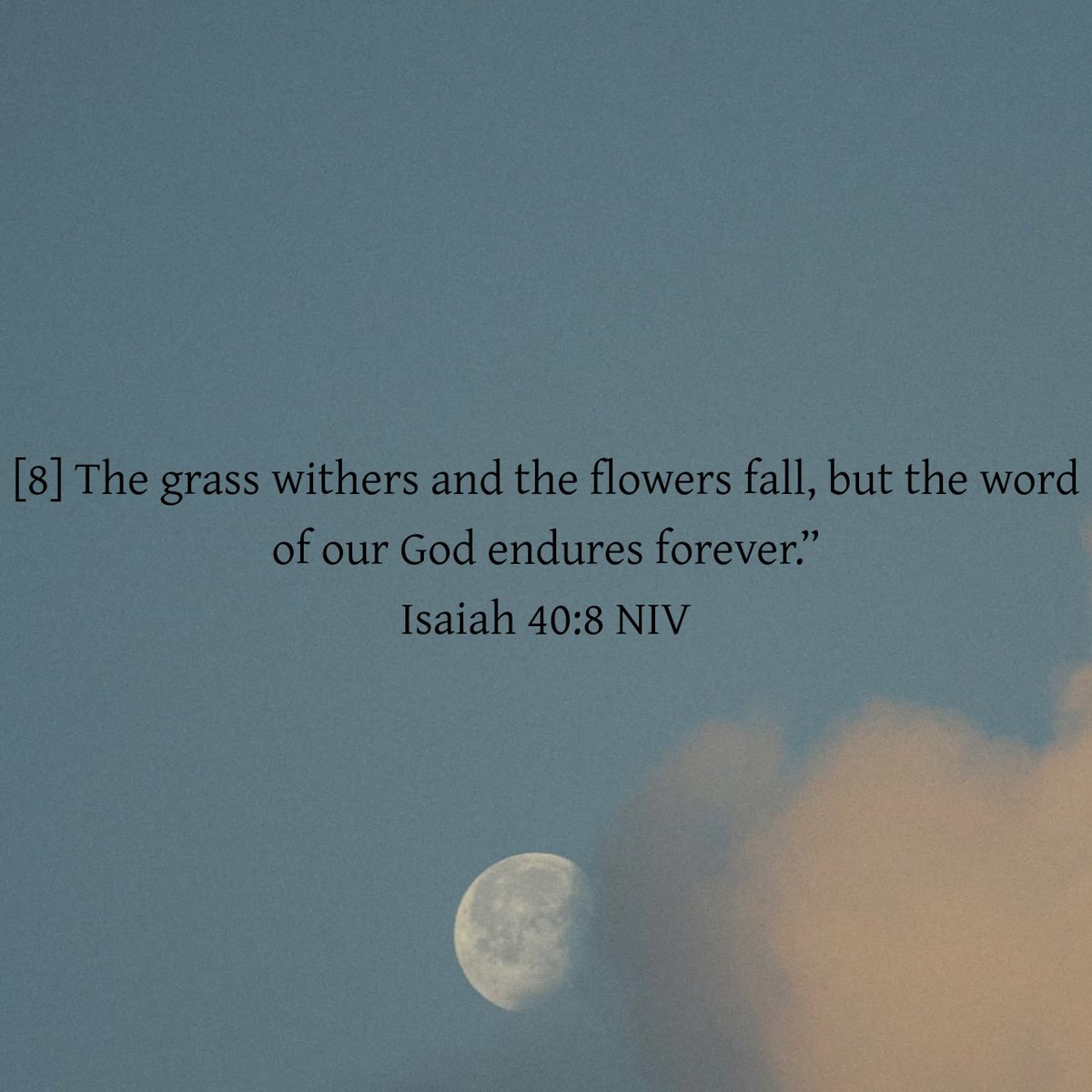 AnnitahRaey's tweet photo. God's Word
#annitahraey
#biblereading
#dailyreading
#GodDaily https://t.co/d2VVwbu8AQ