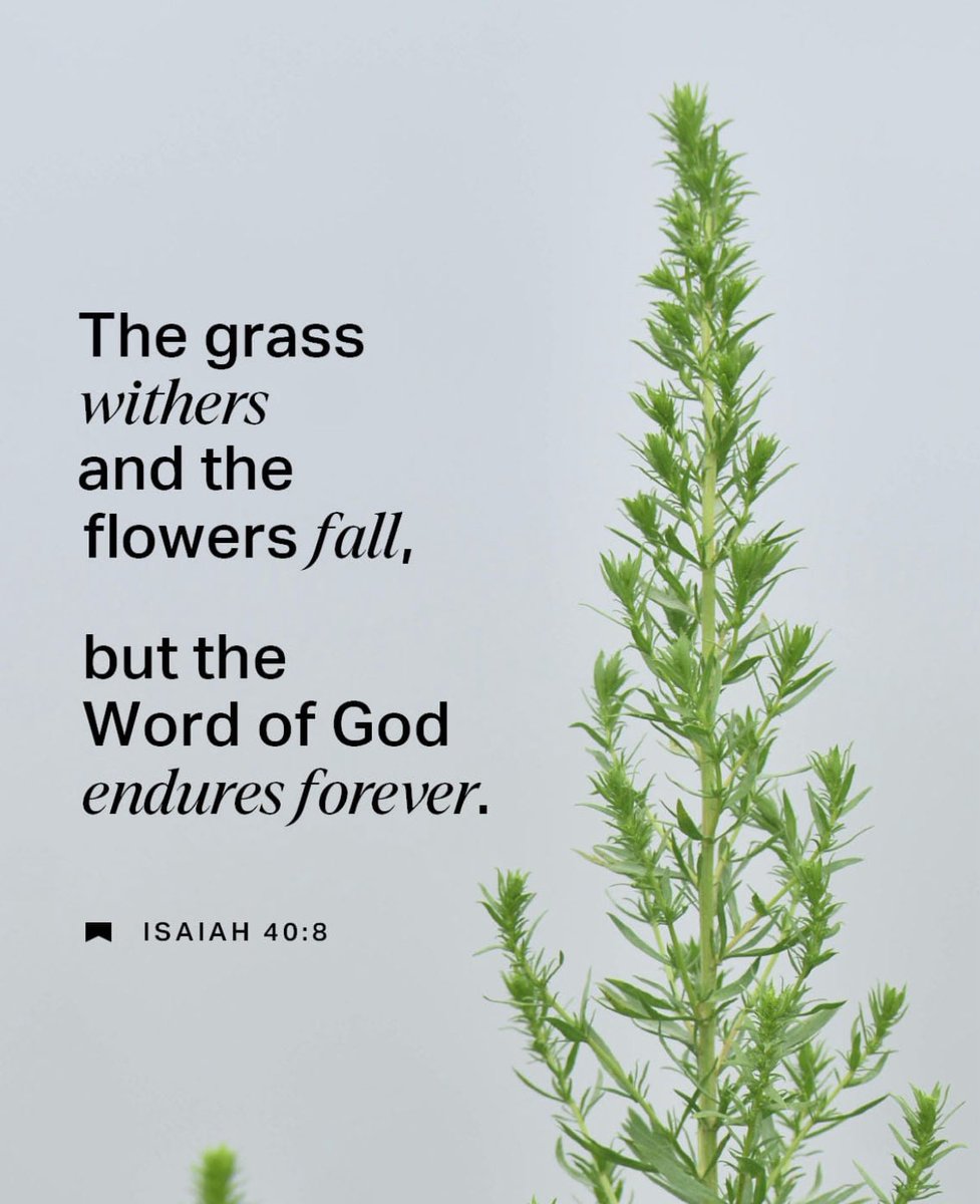 Christ Committee tweet media