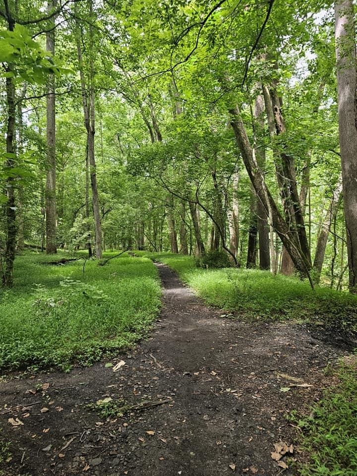 inconceivably bemused antithyroid hyperbola
I love the colors of flowers, and I love the slow pace of the countryside.
Flowers blooming in the countryside are as gentle as a dream.
