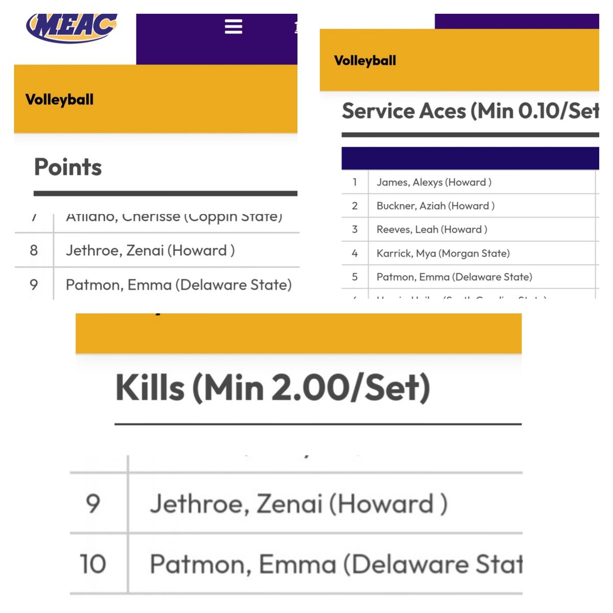 Fun 3-day weekend in Jamaica Queens New York!

Good food, good company, good weather!  Showing up &amp; supporting this girl is a highlight of my life🙌🏾 
And she's currently ranked in the Top 10 of the conference in kills, points, &amp; aces💪🏽 Just keep working, Emma!