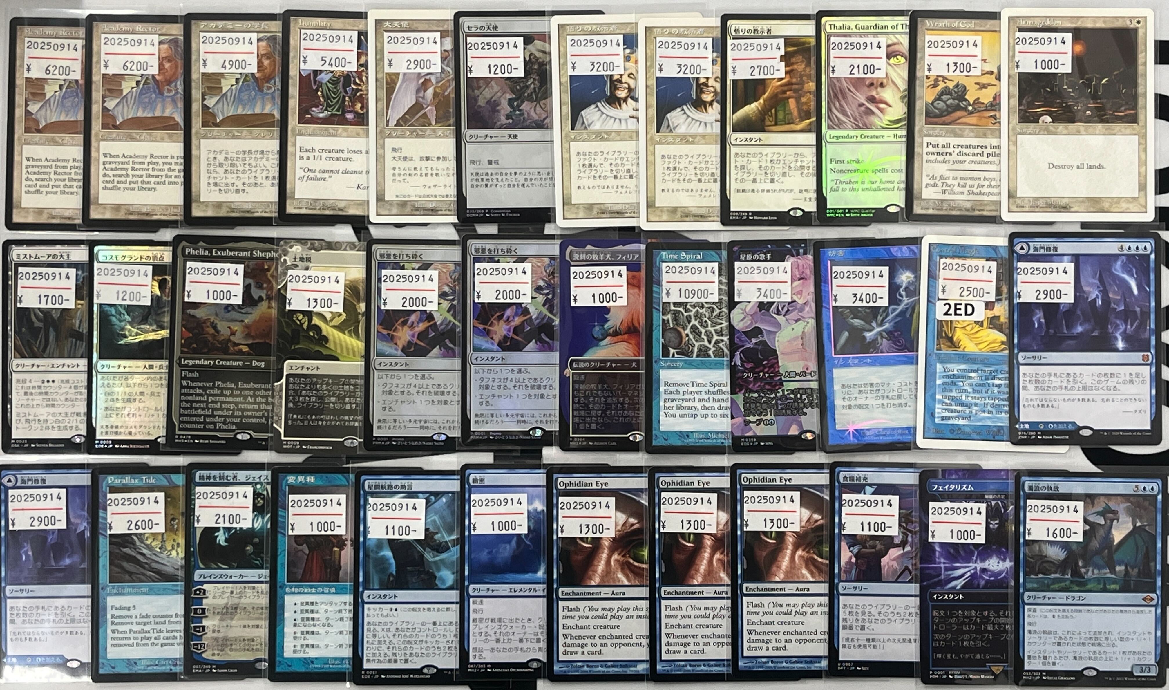 MTG　大量　まとめ売り　約20kg　約12,000枚 マジック・ザ・ギャザリング 約12000枚 MTGカード 大量 未仕分け