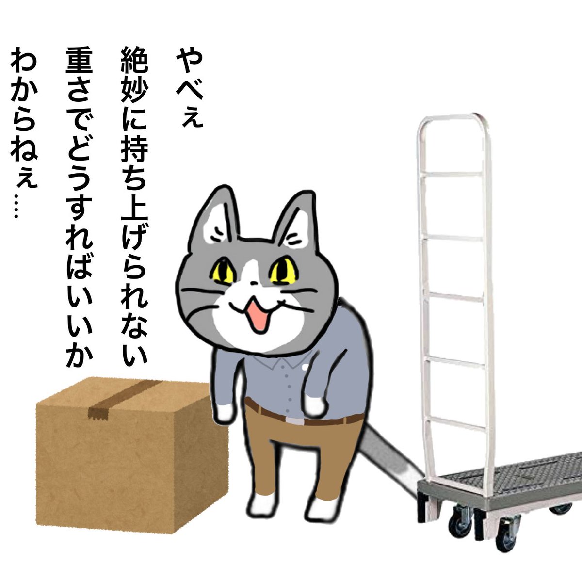 現場猫 - Search / X