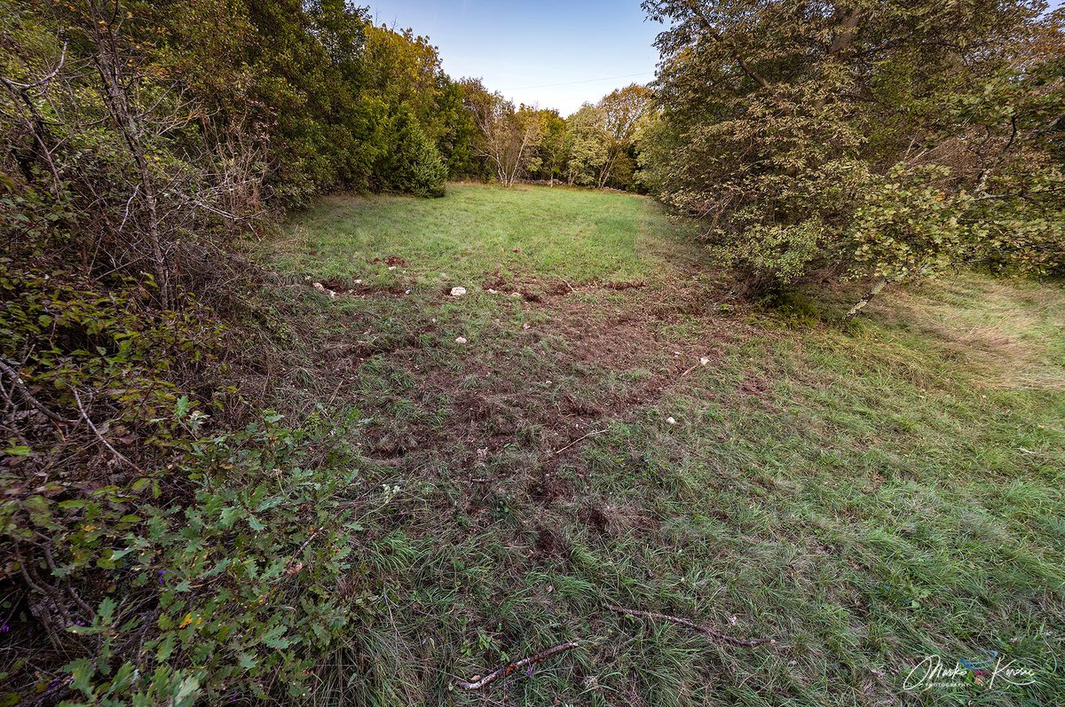 Last night, a powerful positive lightning bolt with an amplitude of 103kA struck near the village of Trebicciano, Italy. Significant damage to the ground was found, with visible lightning channels spread away from the hit point.
Lightning struck at 14th Sept 2025, 3:15am.