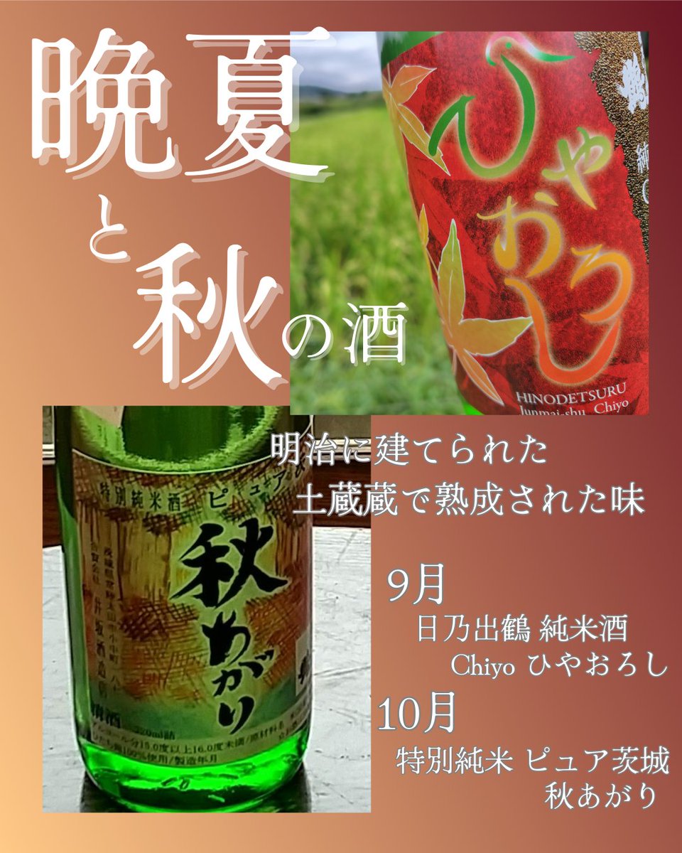 晩夏と秋のお酒のお知らせです🍁
☆9～10月：日乃出鶴純米酒Chiyoひやおろし
☆10～11月：ピュア茨城　秋あがり
まずひやおろしを販売開始いたしました。
辛口好きの方におすすめです。

#ひやおろし 
#日乃出鶴 #井坂酒造店
#日本酒 #地酒 #酒 #sake
#常陸太田 #里美
#日本酒好きな人と繋がりたい