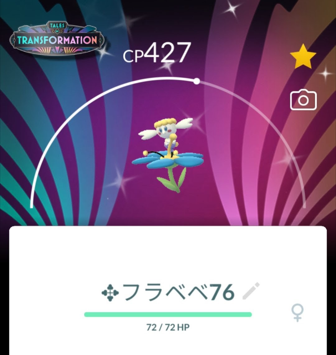 🌼フラベベコミュデイ🌼
お疲れ様でした🫡
✨️色違い✨️💙9匹💛2匹🤍1匹✨️　
💛🤍100%ゲットしました🤗
次回も楽しみます🥰