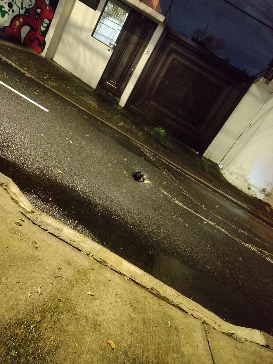 Carolina Lopez Hgo tweet media