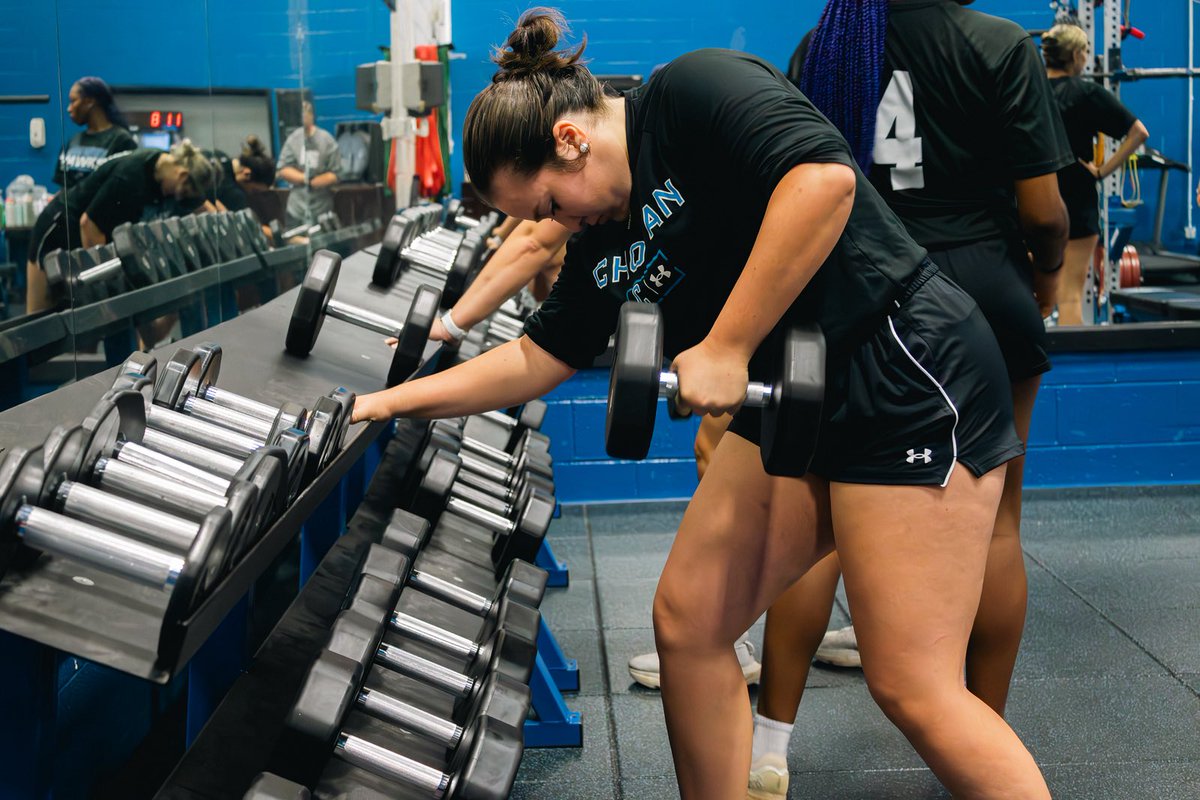 Just a little update on my life as a hawk🦅💙