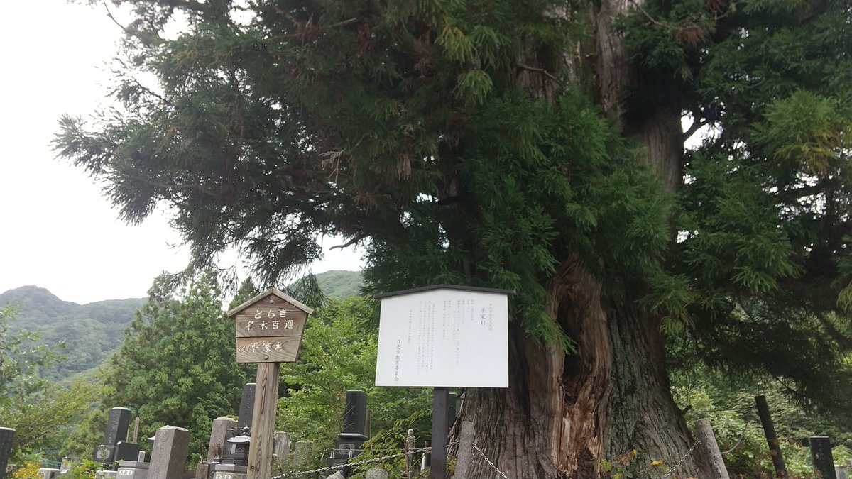 今シーズン最後の渓流釣り🎣小雨で🐟️写真撮れなかったけどいい型の岩魚３匹山女魚2匹🐟️
帰りに♨️寄ったけどやってなかった💦☁️☔