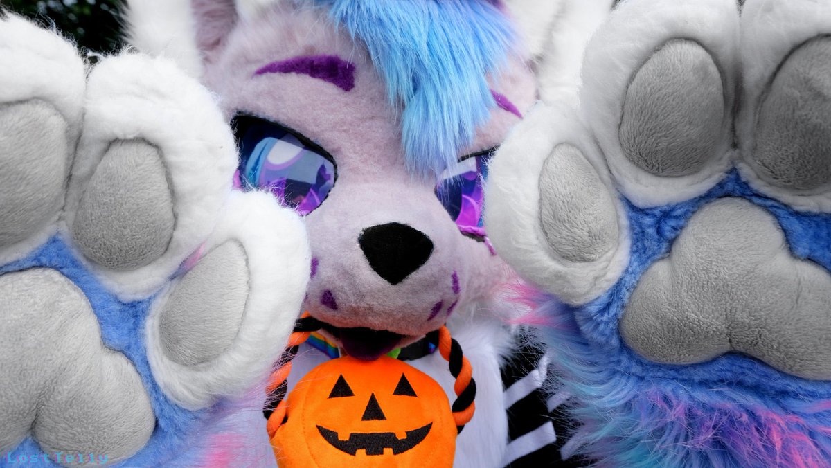 Is it spooky season yet??? 🥺