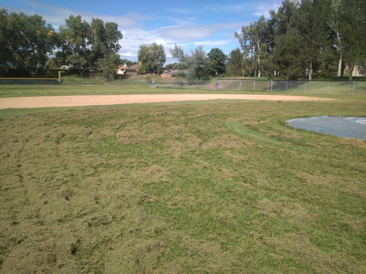 Getting after some thatch for Coach <a href="/lance_lammers/">Lance Lammers</a> Englewood HS Pirates baseball