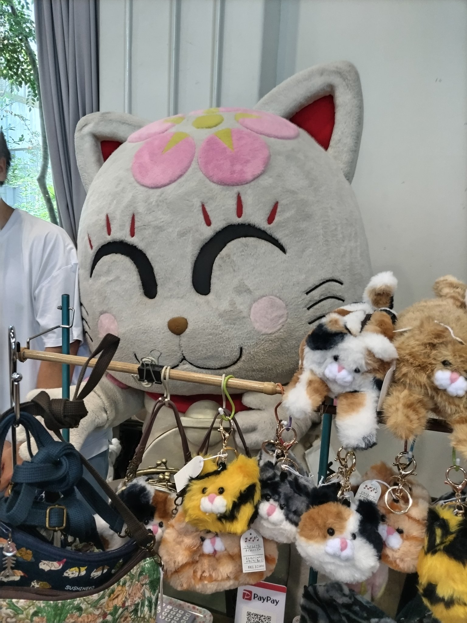 ネコちゃん photo 𝐒ちゃん🌸猫Photo Rider on X: 