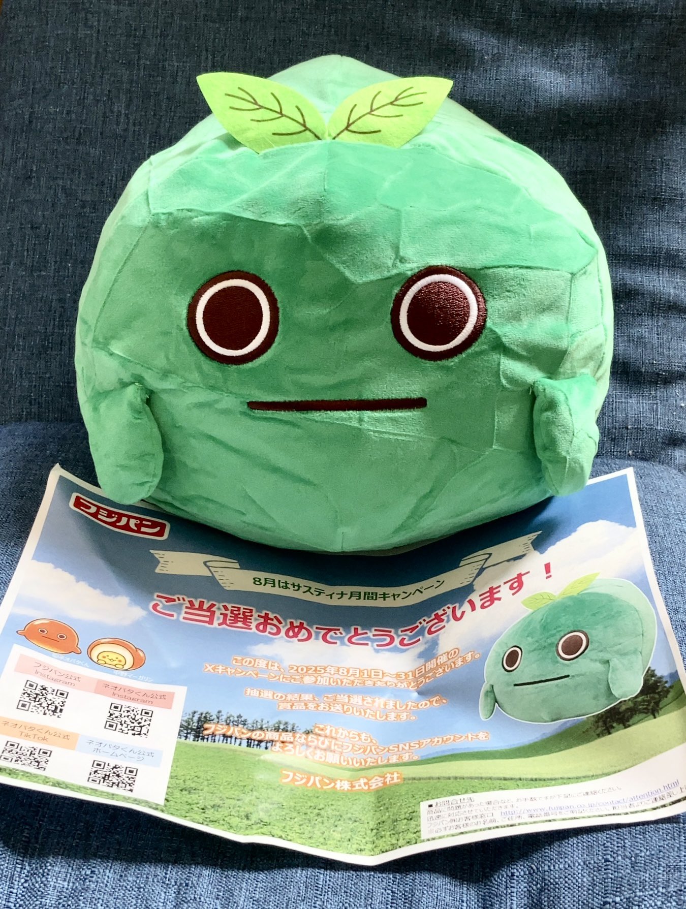 🟡➰まるたまぽん👩🏻 on X: 