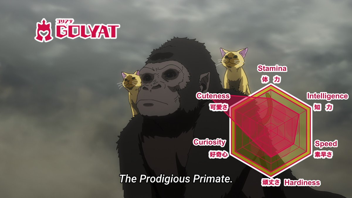 WHAT WAS HIS NAME AGAIN