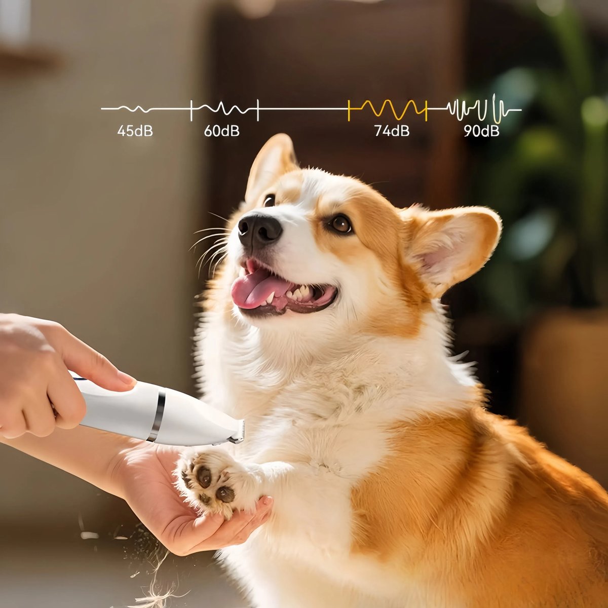 Upickpickstore's tweet photo. Groom your pet without the fuss! ✂️🐱
USB-rechargeable clipper kit with dual blades, nail grinder &amp; quiet motor. IPX7 washable + lasts ~90 mins per charge. Perfect for at home grooming.
👉 https://t.co/hG4D3CJrxV

#PetGrooming #PetCare #CatGrooming #DogGrooming https://t.co/zQvj9kJEPR
