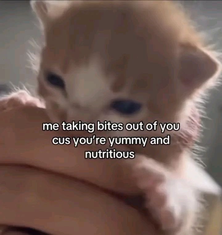 ♡ (@astralbaes) on Twitter photo 