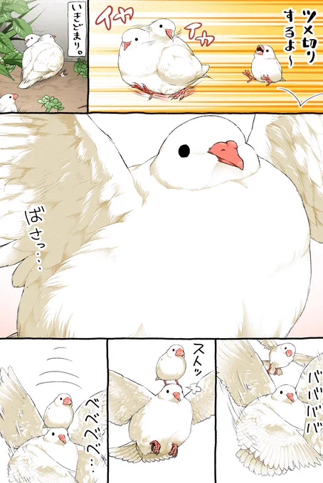 ほかく 