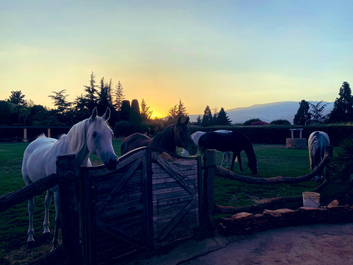 صباح البقاع الحلو احلى صباح هيدا لبنان #يسعد_صباحكم ❤️🙏🇱🇧