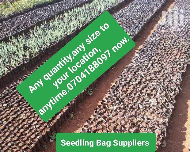 Seedling bags available now