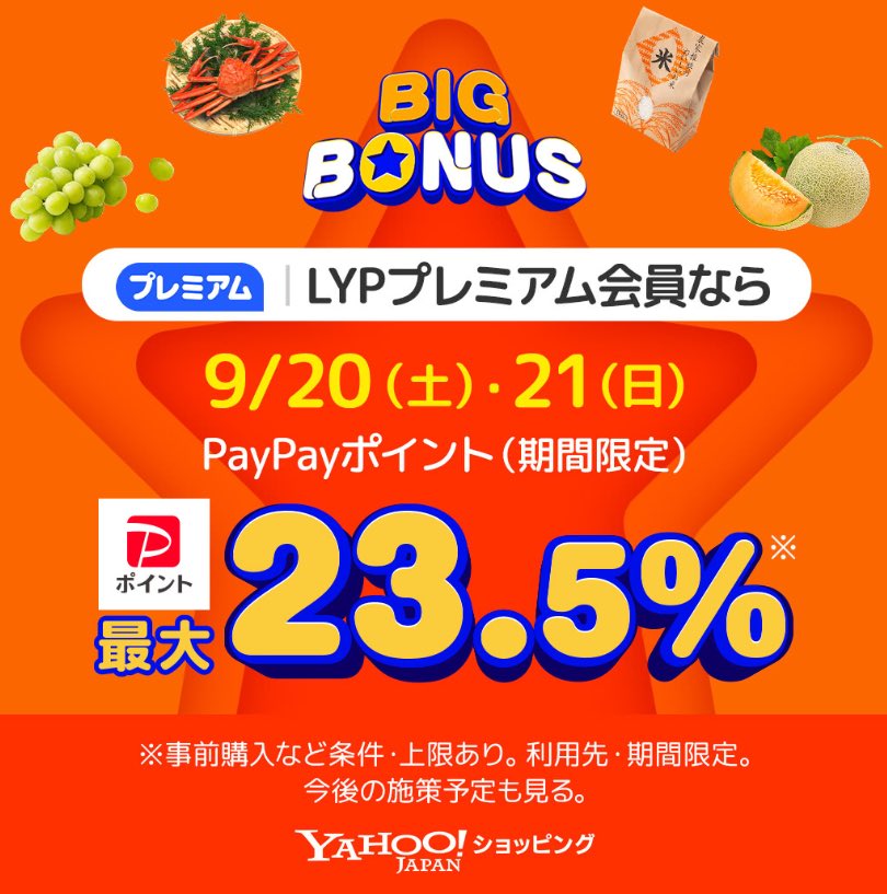 佐藤すみれ tweet media