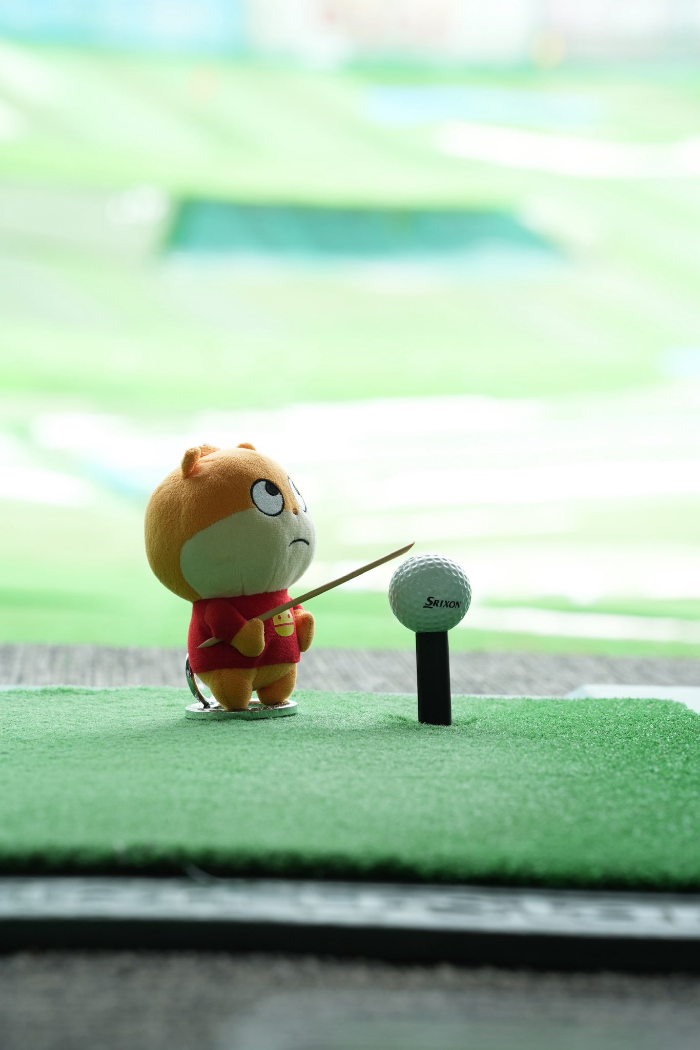 タロちゃん Amazon.co.jp: ポケモンカード sv7 拡張パック ステラミラクル