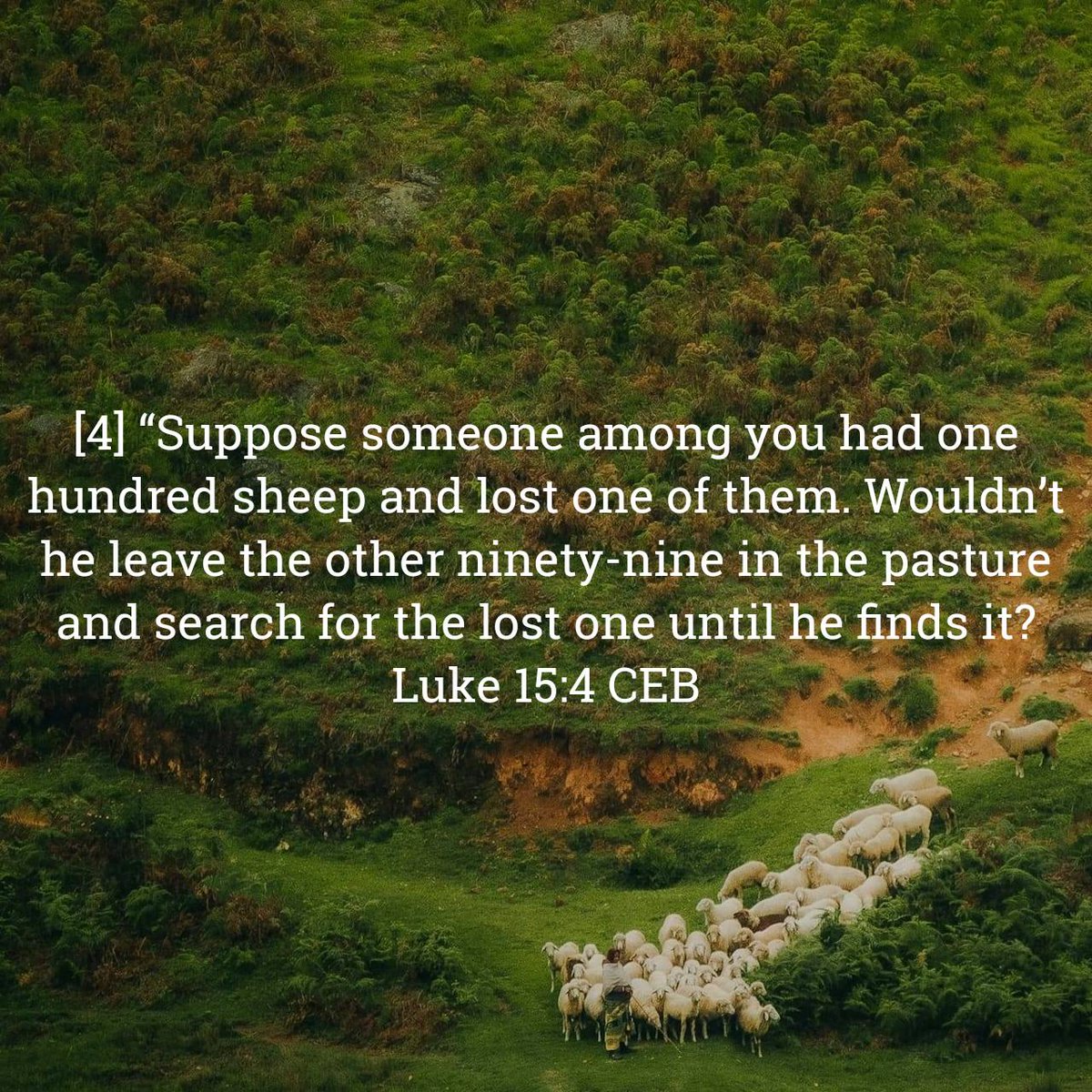Lectionary's tweet image. Luke 15:4 CEB
[4] “Suppose someone among you had one hundred sheep and lost one of them. Wouldn’t he leave the other ninety-nine in the pasture and search for the lost one until he finds it? 

bible.com/bible/37/luk.1…