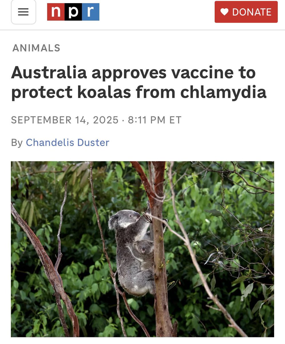 Shea Swauger tweet media