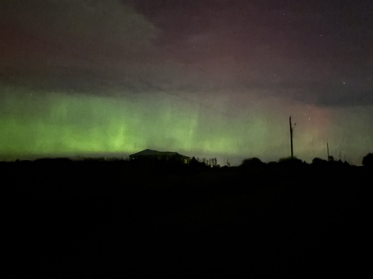 Mike McPhee tweet media