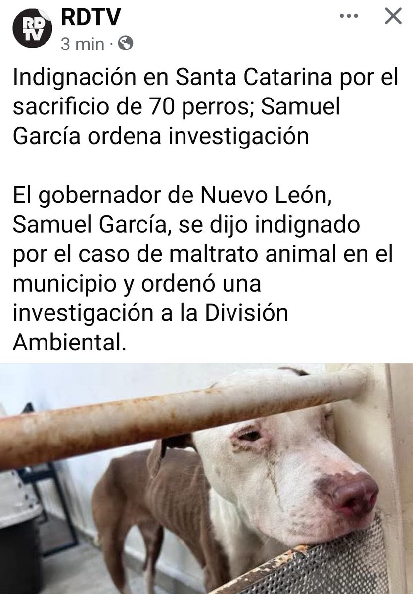 Inexplicable la inmensa crueldad. 
Que caiga el alcalde por MISERABLE Y CRUEL.
