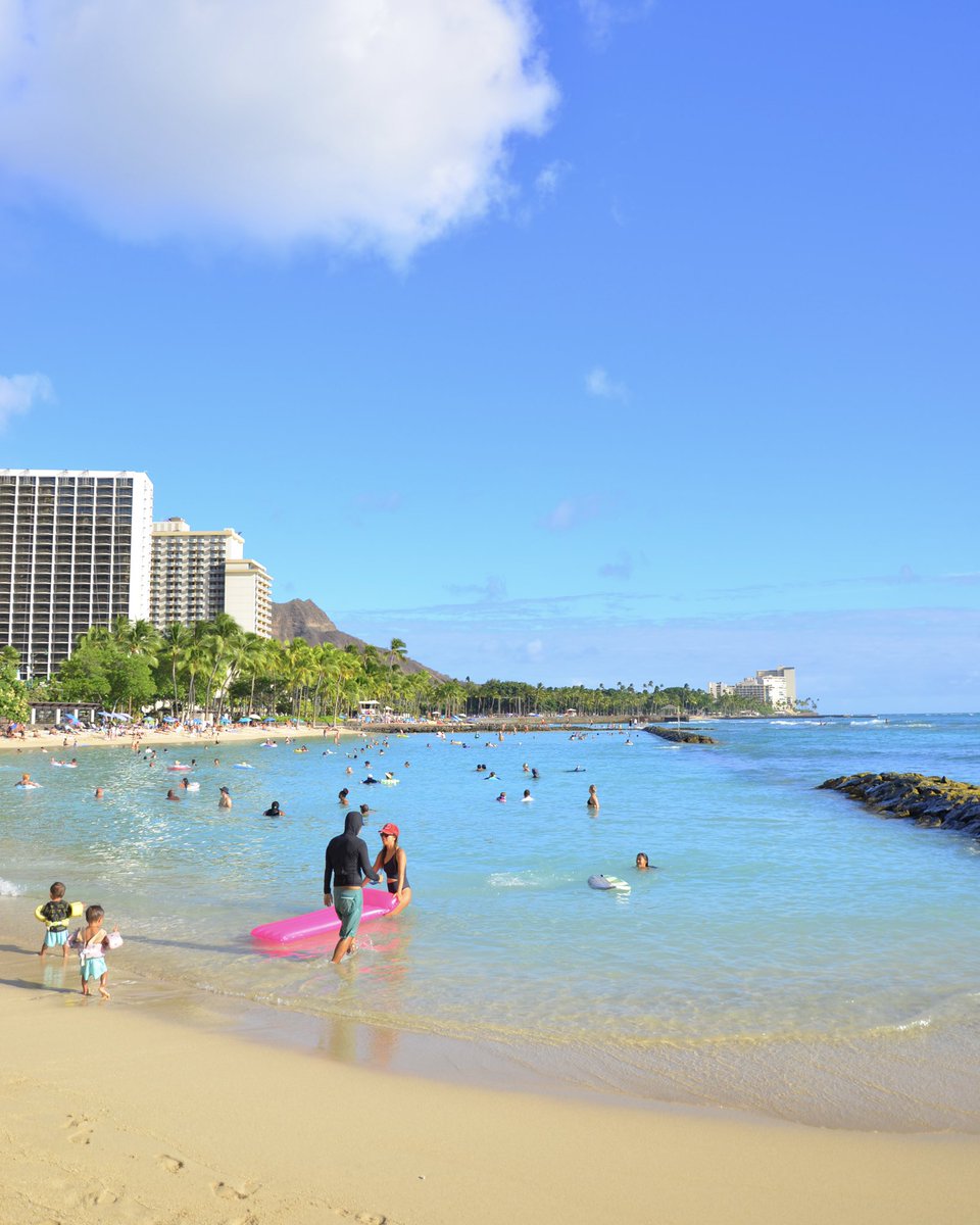 ハワイから取り寄せたイプ ノースショア夏シーズン 透明度抜群ワイメアベイ 高さ10m岩から