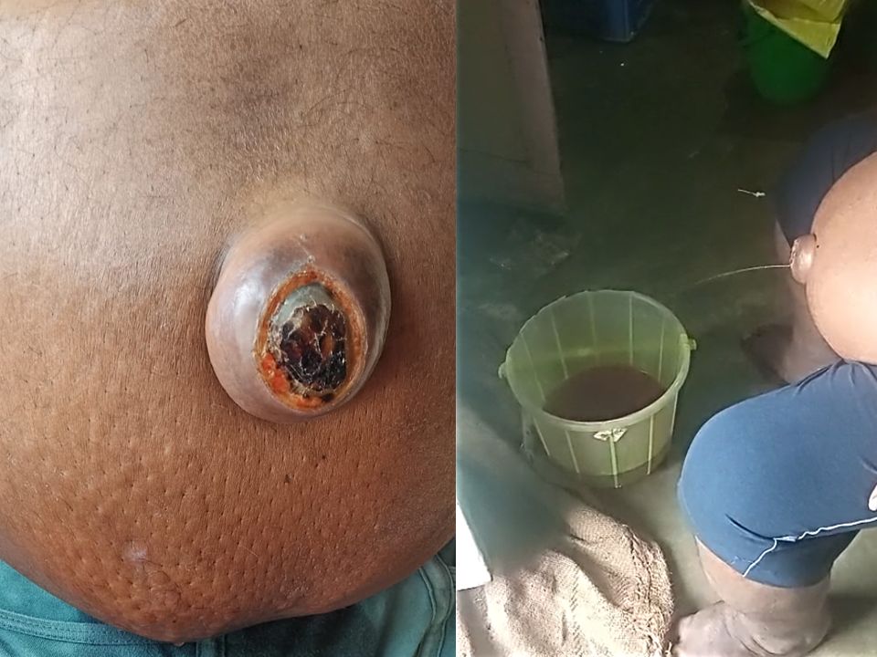 TheLiverDoc™ tweet media