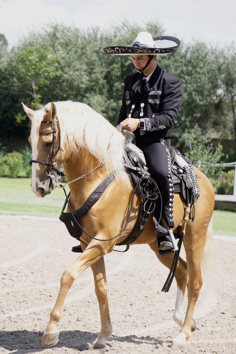 Val'Quirico® tweet media