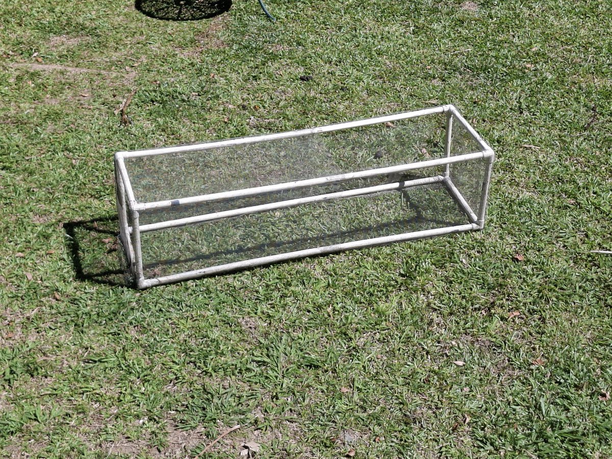 stream_bab91972's tweet photo. Baby Chicken Capital has acquired an outside chicken pen

Come touch grass with us in ~2.5 hours 

$CHICK https://t.co/vxFzIYm7J1