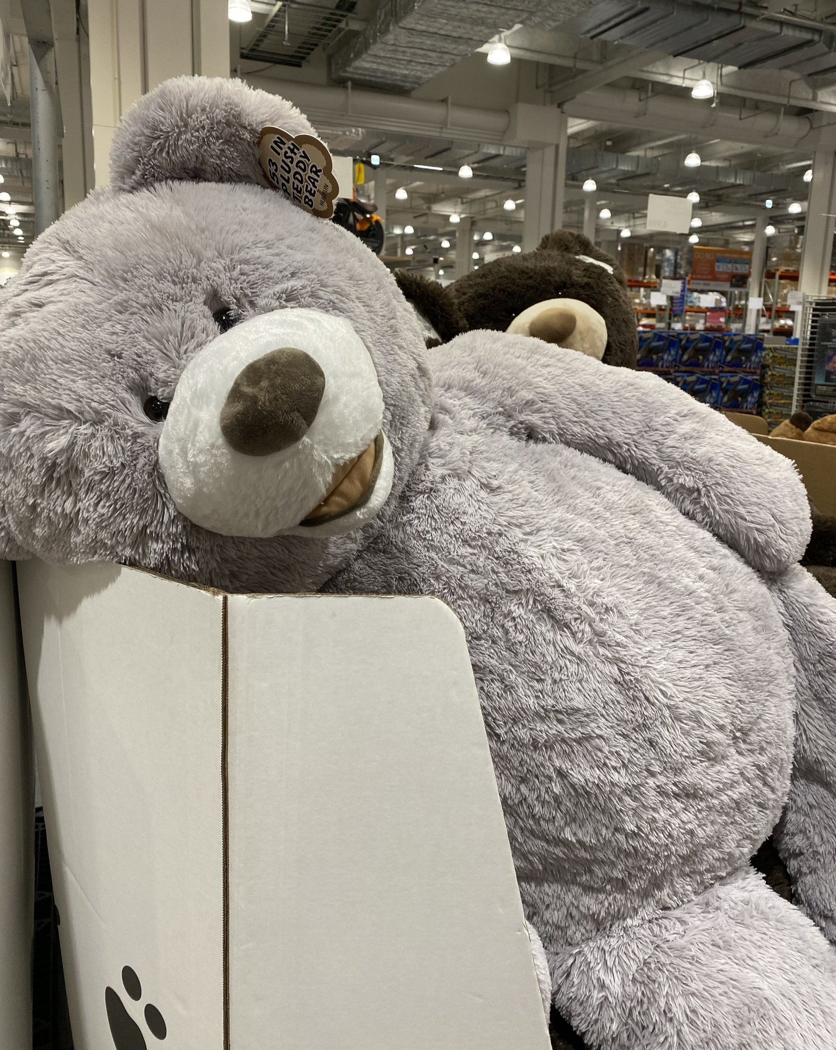 くま 楽天市場】バニーズバイザベイ bunniesbythebay Cubby the Bear
