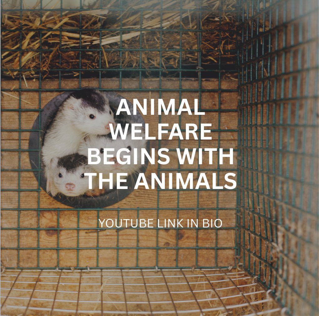 Animal Welfare Begins with the Animals - YouTube FurEurope (Link in Bio)

youtu.be/1C5vGJZan2o?fe…

#AnimalWelfare #ProudFarmers #ResponsibleFarming #SustainableRuralWork

#supportfarmers 
#supportscience 
#supportwelfare