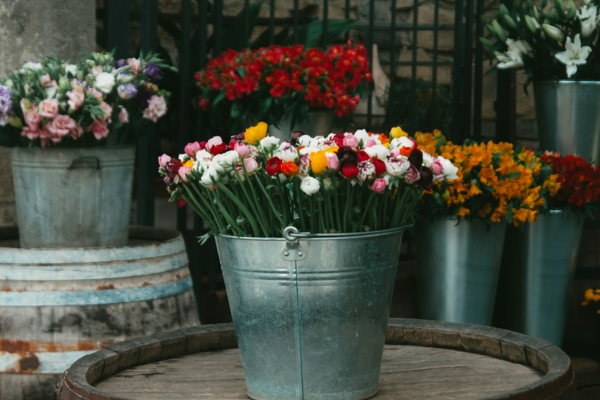 RankiaProIT's tweet image. 📣 PGGM affida a #Robeco oltre 15 miliardi di euro in mandati 3D avanzati per PFZW 

👉🏼 rankiapro.com/it/notizie/pgg…
📌 #RetiDiConsulenza #Patrimonio #Raccolta #RankiaProItalia