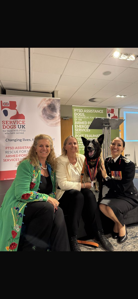 December 2018 we took Baloo into our lives not knowing how she would cope with her pelvis injuries &amp; being a TriPaw. 
Today we celebrate her 9th birthday. This year she has won <a href="/Crufts/">Crufts</a> received an Essex High Sheriff’s Award &amp; <a href="/ServiceDogsUK/">ServiceDogsUK</a> Lifetime Achievement Award 🥇 
So proud