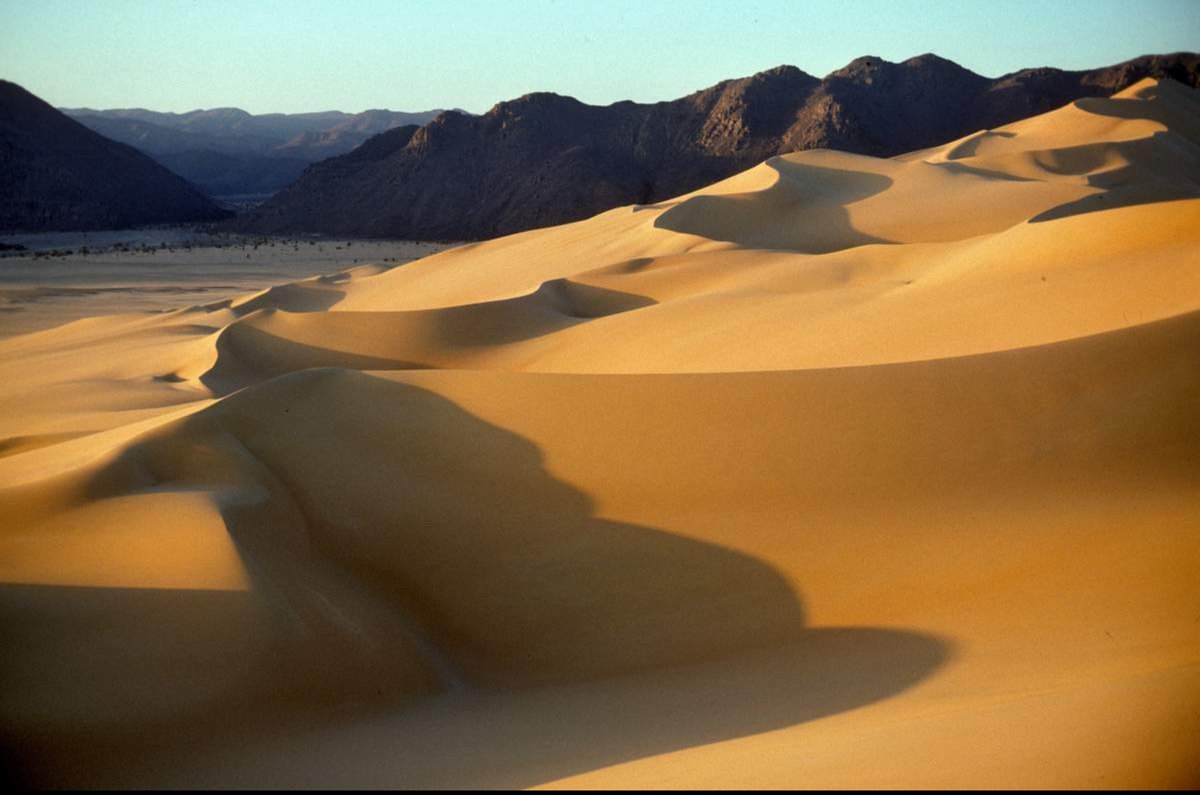 To a world filled with conflicting perceptions, absolute certainty is a rare treasure. Everything around us is in constant flux, while the universe remains steadfast. Meanwhile, everything else dances the rhythms of carbon cycles, reminding us of the impermanence of existence!