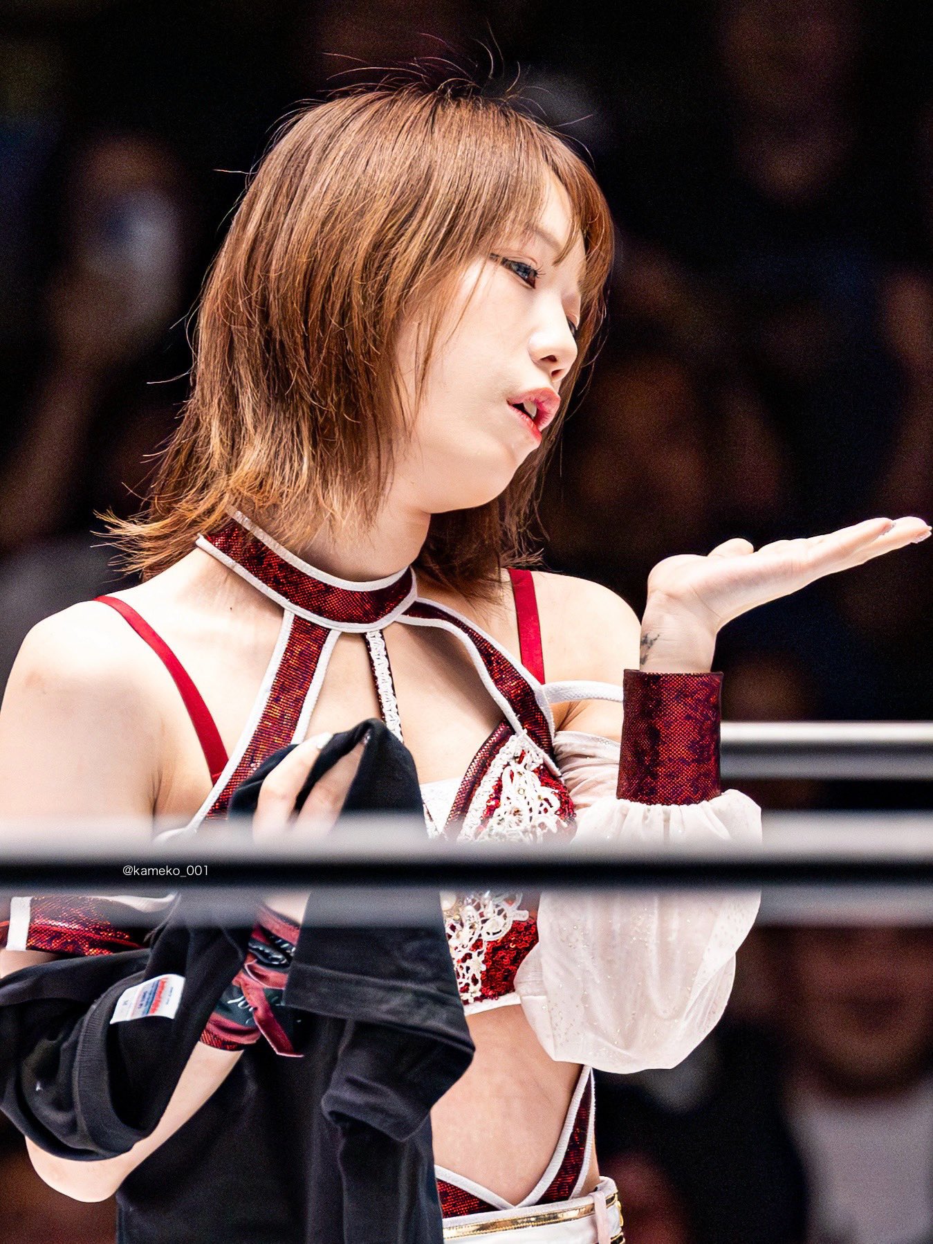 スターダム　鹿島沙希選手　パーカー 楽天市場】HTML ZERO3×STARDOM 鹿島沙希 コラボ パーカー ジップ