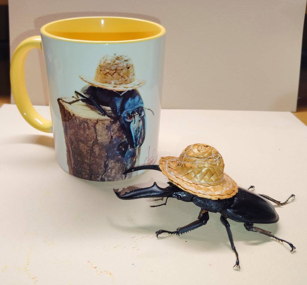 ひゆう かとる/Hiyu Catoru tweet media