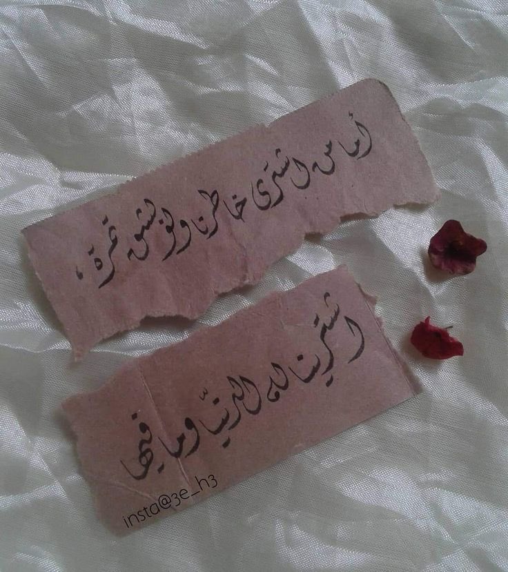 ✍🏻

ستهديگ الحياه ألوانها المختلفه من بشر ومواقف اختر منها ما تشاء وامسح منها ما تريد..! ..!! 

'

↓˓❁⸀  

💭•