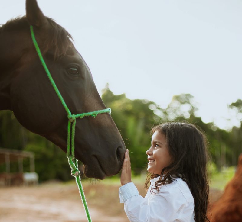 concienciaeco's tweet photo. La terapia con animales es eficaz para distintas enfermedades y trastornos como TEA y TDAH
https://t.co/R2n8RFtGnB
#medioambiente #terapiaconanimales #educación #antidepresivo #actividadesinfantiles #educación #antiestrés #animales #infantil https://t.co/ij4jYRe4yl