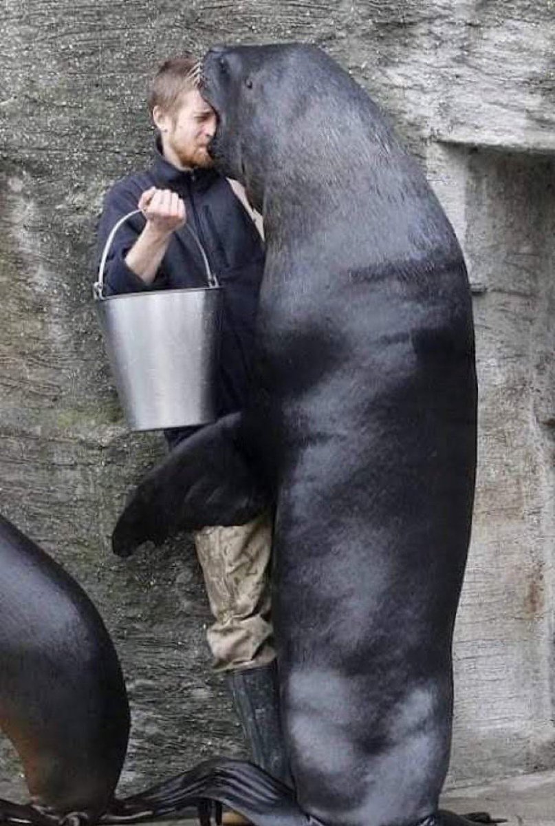 Riesiger Mann sitzt neben mir im flixbus  Turin (A)