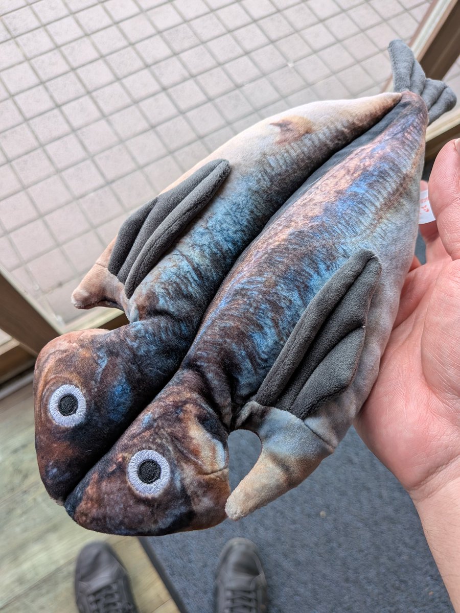 あじのひらき アジの開きぬいぐるみ買ってしまった。 かわいい。